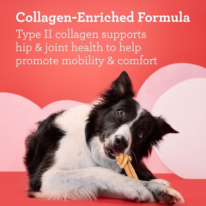 DreamBone CollaYUMS Knots Plus Collagen Chews for Dogs, 14 Count, Treat Your Dog to Rawhide-Free Chews Made with Chicken, Vegetables and Peanut Butter