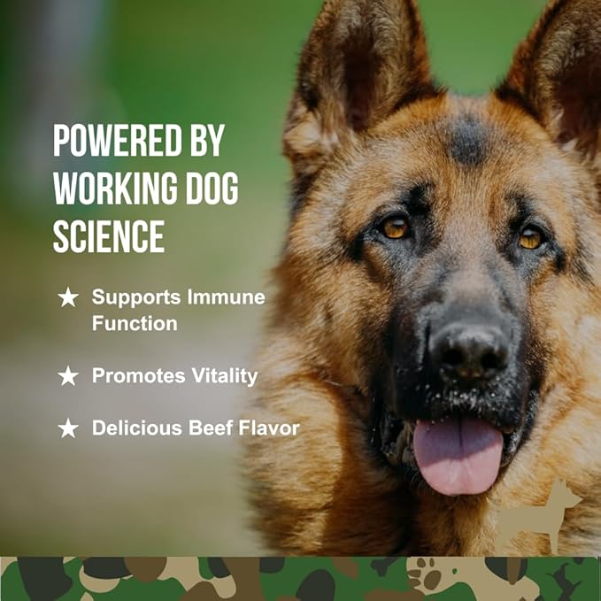 Immune Support Soft Chews for Dogs, Immune Health Supplement, 90 Count, Natural Ingredients, Beef Liver Flavor, Veteran Owned – Operation Good Boy