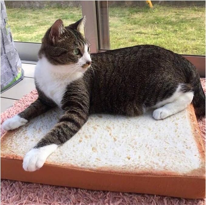 RemeeHi Comfortable Machine Top Pet Bed with Memory Foam and Zipper Removable Cover Sleeping Bed for Dog & Cat Toast（40x40x7cm）