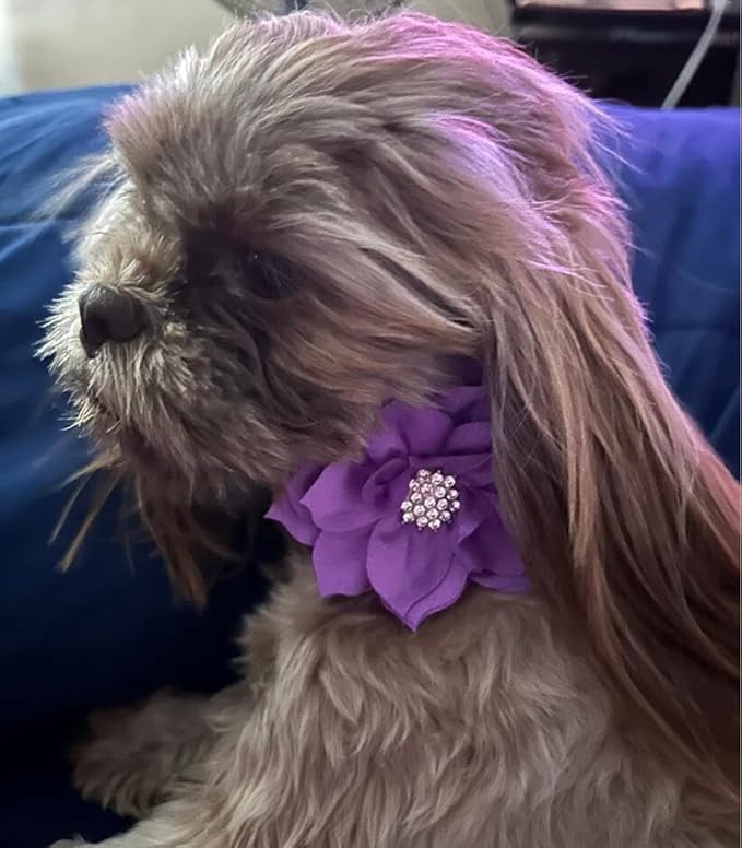 Cute Dazzling Sparkling Elegant Fancy Soft Suede Leather Bling Rhinestone Crystal Jeweled Pet Cat Dog Puppy Collar Dog Leash Combo Set (Purple7, S)