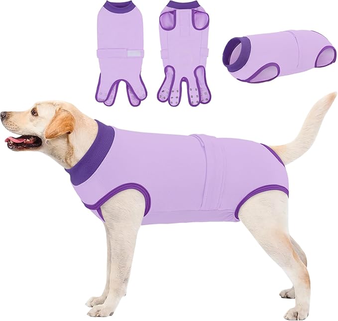Queenmore Recovery Suit for Dogs, Dog Surgical Recovery Suit Onesie,Anti Licking Pet Female Spayed Neutered Puppy Surgical Clothes for Abdominal Wounds, Substitute E-Collar & Cone, Purple,L