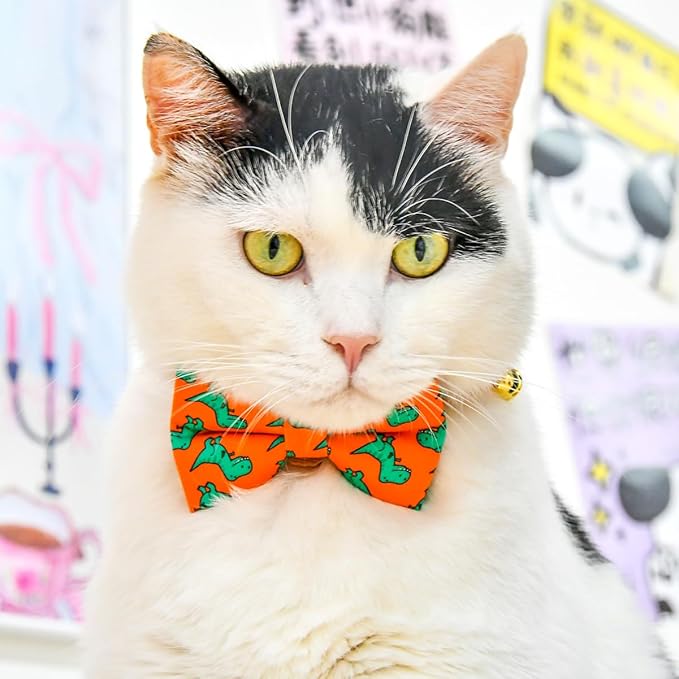 Breakaway Cat Collar Bowtie Bell, Orange Dinosaur T-rax, Wedding/Birthday Gift for Kitten