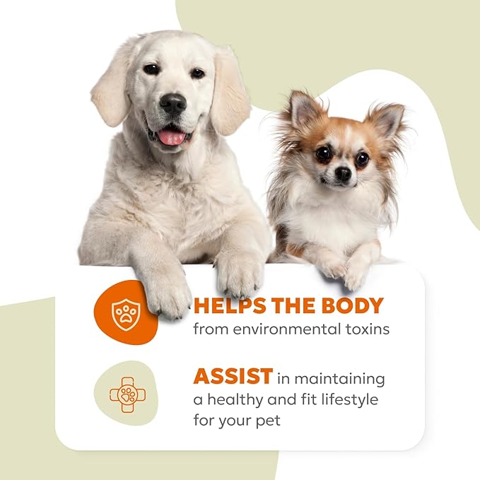 Daily 10-in-1 Dog Wellness Chews – Joint, Gut, Immune, Skin & Coat, Energy & Vitality Support – Glucosamine, Probiotics, Salmon Oil & Turmeric – 60 Soft Chews