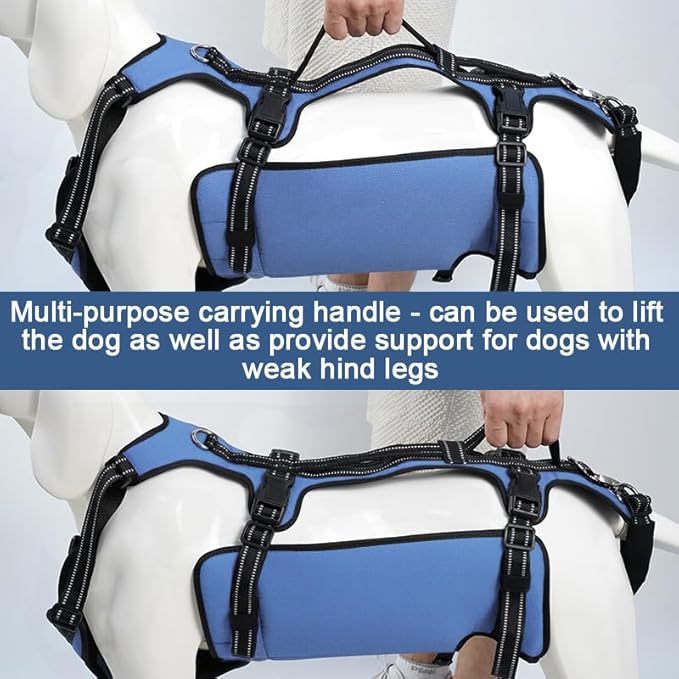 Coodeo Dog Lift Harness, Full Body Support & Recovery Sling, Pet Rehabilitation Lifts Vest for Old Dog with Arthritis Walk(Bule,XL)