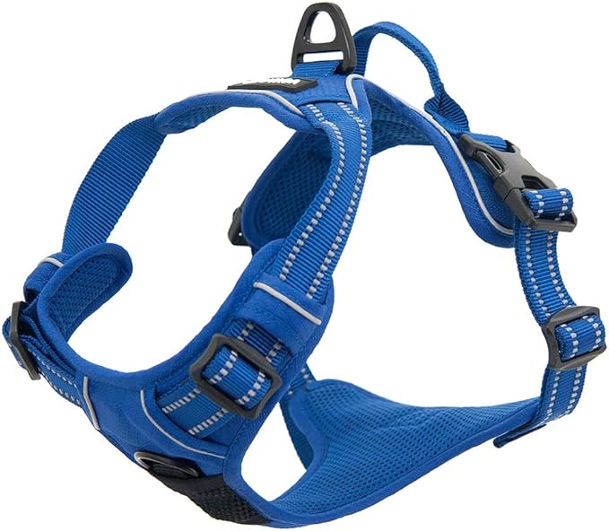 Voyager Dog Harness Dual Leash Attachment No-Pull Control Adjustable Soft but Strong Pet Harness for Medium and Large Dogs with 3M Reflective Technology, Royal Blue Lattice Nylon, XS (Chest: 13-16")