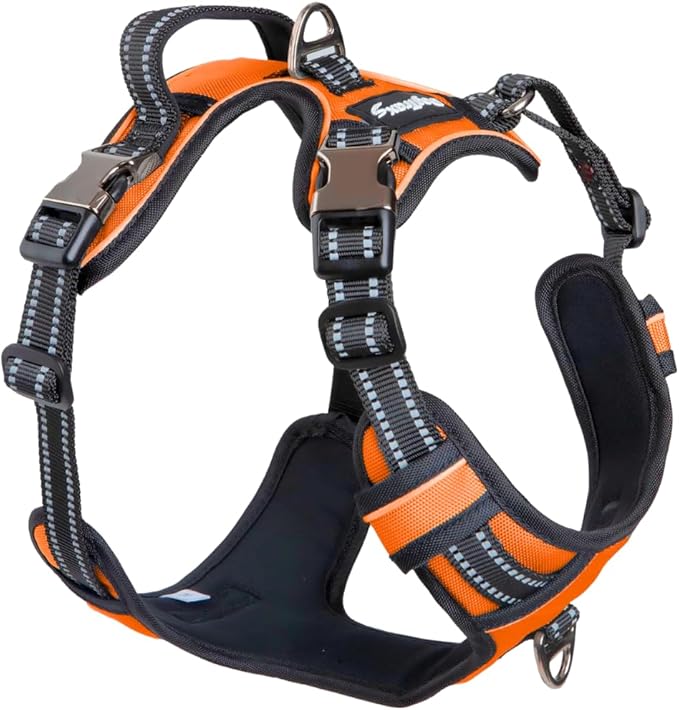 DogTraxs Dog Harness for Extra Large Dogs - No Pull Front Clip, Adjustable Step in Reflective Vest with Metal Buckles - Orange