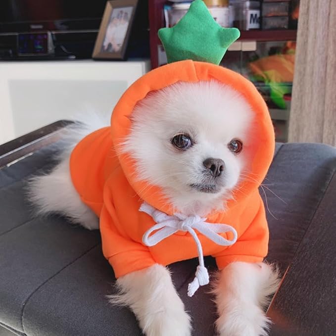 ANIAC Funny Pet Clothes for Small Dog Cat Carrot Dog Hoodies Warm Puppy Sweatshirt Coat with Fruit Hood Fall Cat Sweater Halloween Outfit Easter Dog Carrot Costume (Orange, XX-Large)
