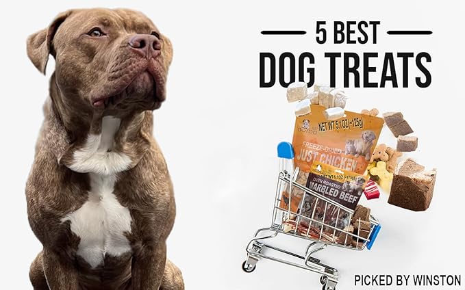 Oven Roasted Single Ingredient Treats for Dogs & Cats | Easy Chew (3.1 oz, Marbled Beef Strips)