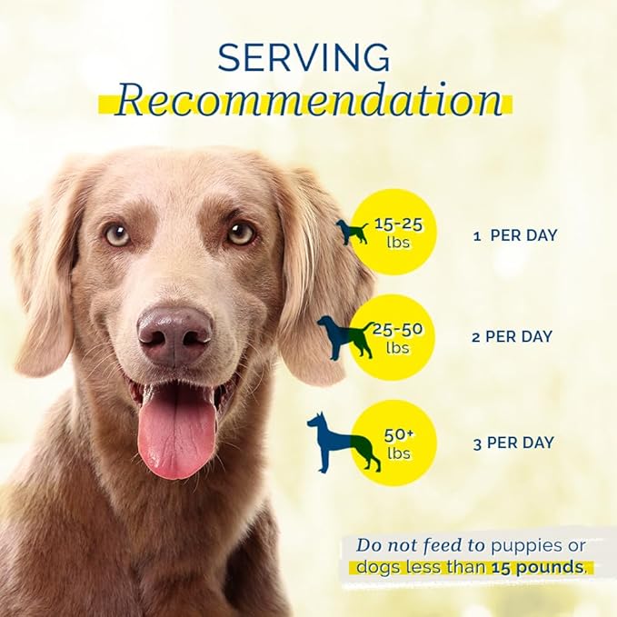 PCI Pet Center, Inc. Chicken Breast Cutlets for Dogs - 100% Natural Dehydrated Dog Treats - Single Ingredient, Premium Quality - Zero Additives or Artificial Colors - Made in The USA - 1lb