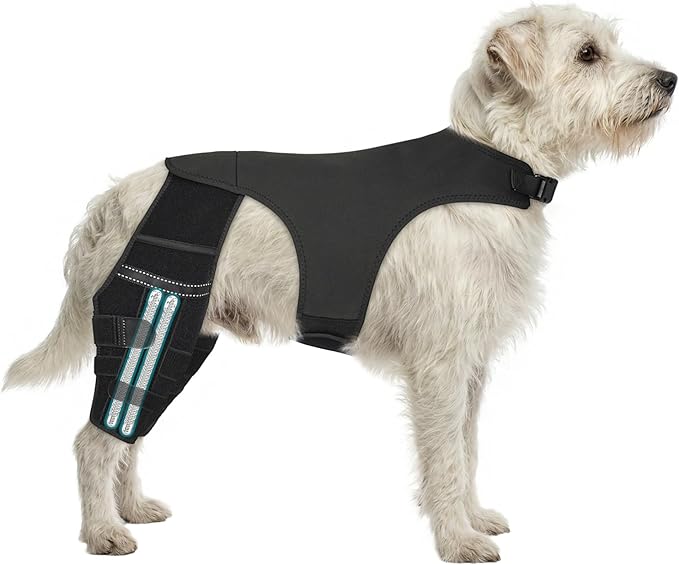 Adjustable Dog Knee Brace for ACL Tear and Arthritis Recovery - Dual Hind Leg Support with Harness Connection - Orthopedic Leg Wrap for Joint Stability and Pain Relief in Small to Large Dog (S)