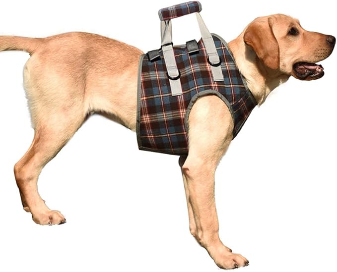 HongGun Pet Lift Support Harness, Dog Auxiliary Belt Front Disability Injury Old Dog Support Harness Injured Dogs Walking for Medium Dogs Large Dogs (S:Blue)