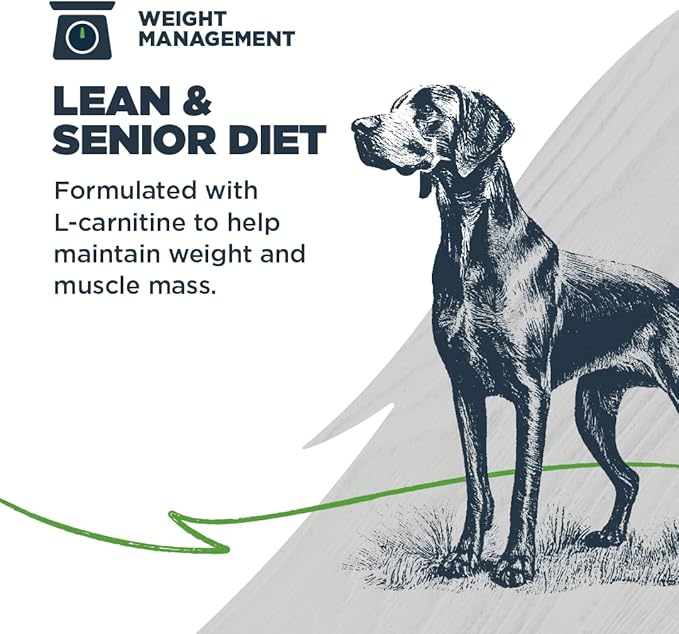 Blackwood Lean/Senior Dry Dog Food, Chicken Meal with Ancient Grains, 10 Pound Bag for Weight Management and Muscle Mass Maintenance