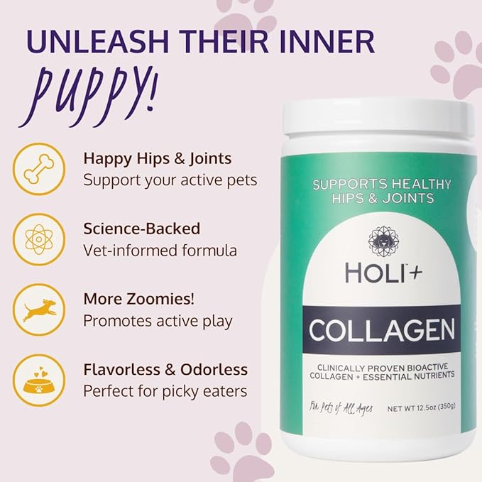HOLI+ Collagen Supplement for Dogs - Hip and Joint Care Collagen Powder with Glucosamine and Hyaluronic Acid - Easy to Mix Functional Topper