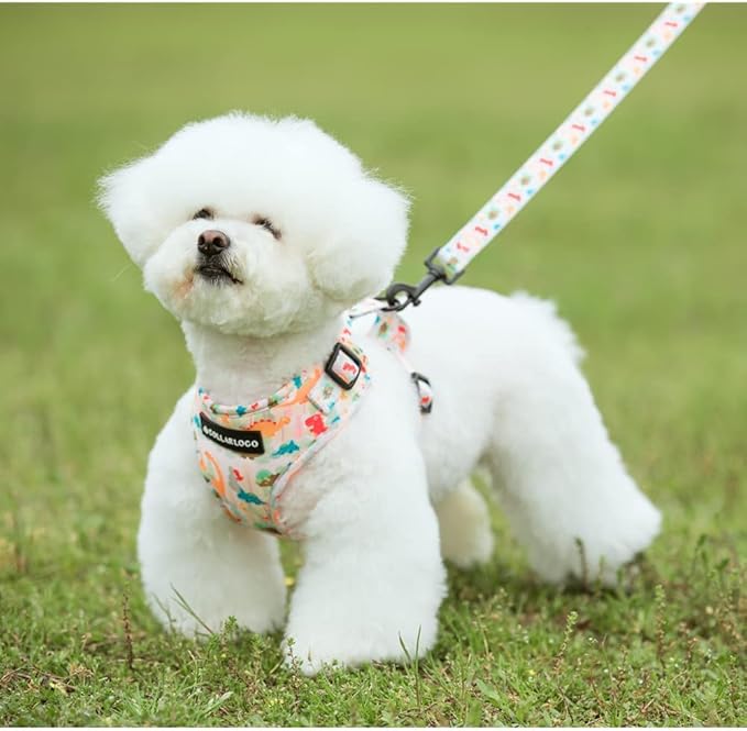 Adjustable Dog Harness and Leash Set for Girl Air Mesh Dog Vest Harness 5Ft Pet Training Leash with Soft Handle Pet Escape Proof for Small Medium Large Dogs (Dinosaur, L)