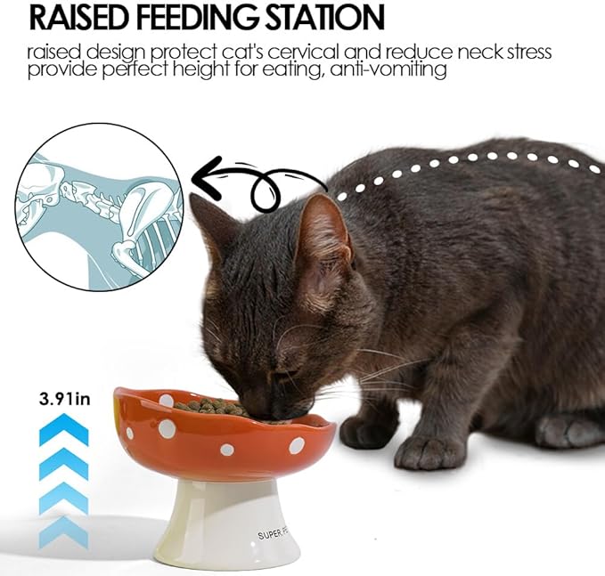 Ceramic Elevated Cat Bowls, Tilted Raised Pet Dish Anti Vomit Kitten Bowl for Indoor Cats, Whisker Friendly Pet Food and Water Bowl for Kitten, Cat, Puppies, Dishwasher Safe (Orange)