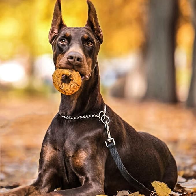 Fieldcrest Farms Nothin to Hide Flip Chips Dog Chews - Natural Rawhide Alternative Treats for Dogs, Collagen Based Snack for Moderate Chewers Up to 35lbs, Beef Flavor (Pack of 2)