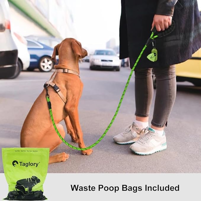 Taglory Rope Dog Leash 5 FT with Comfortable Padded Handle, Highly Reflective Threads Leash and Anti-Tangle Clip for Walking Small Dogs, 3/8 inch, Green