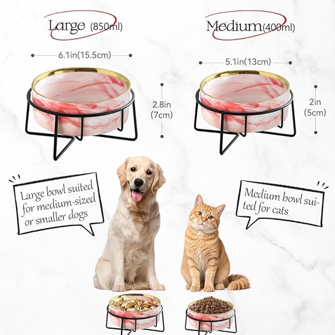 Dazzling Ceramic Elevated Cat Bowls, Raised Dog Pet Cat Food Water Bowl for Indoor (Grey, Large)
