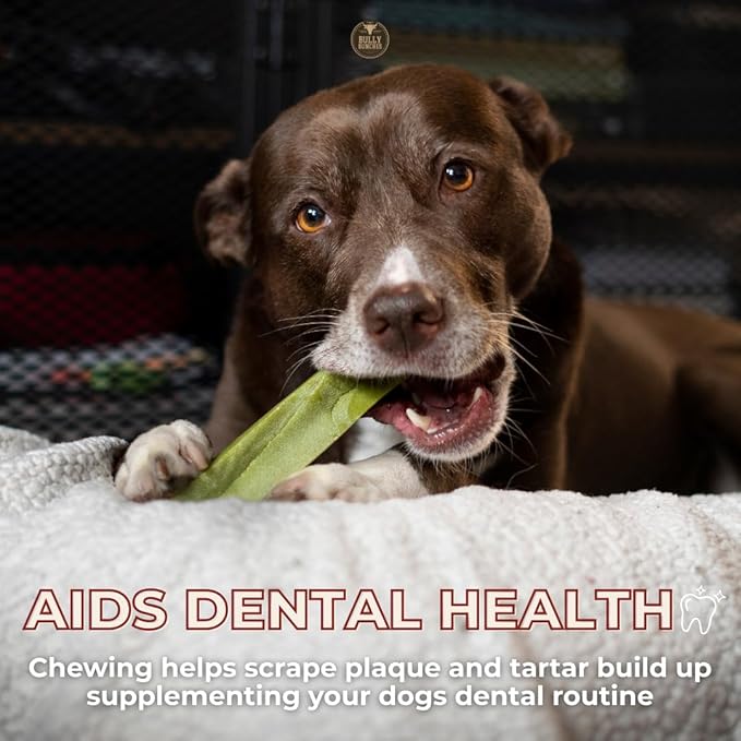 Bully Bunches Premium Fruit-Flavored Himalayan Yak Chew for Dogs - 100g, All-Natural, Long-Lasting, Authentic Yak Milk, Healthy Dental Chew, High-Protein (Medium Assorted - 4PK, Assorted)