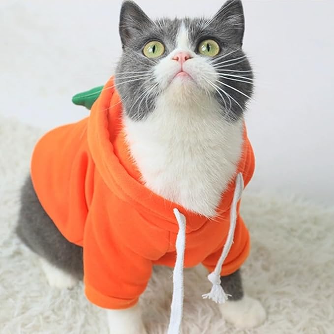 Happy Dog Hoodies - Funny Dog Clothes for Small Dogs & Cats - Hooded Puppy Sweatshirt Coat - Winter & Easter Outfit - Carrot Costume for Kitten, Chihuahua, Pomeranian, Yorkie (Orange, Large)