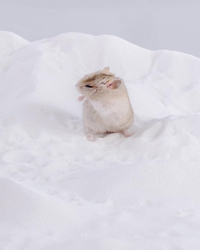 Niteangel Hamster Desert Bath Sand | No-Dust Bath or Potty Litter for Hamster Chinchillas Gerbil Mice Degu or Other Small Pets (White Sand, 6LB/96oz)