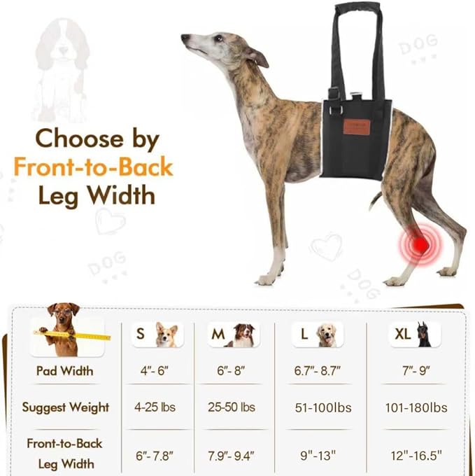 Dog Sling for Back Legs, Dog Lift Harness, Magic Tape Dog Sling for Large Dogs Hind Leg Support, Elderly Dog Lifter, Assist Canie Hip Arthritis K9 Cruciate Ligament Rehabilitation (Small)