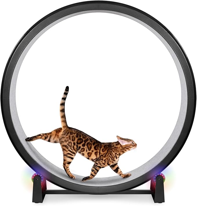 One Fast Cat - Cat Exercise Wheel - Gen. 7 - Safe 48" Diameter - Made in The USA - Black Wheel with Gray Felt Traction Pads and Light-Up LED Inline Wheels