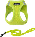 Voyager Step-in Pet Harness - All Weather Mesh, Adjustable Step in Harness for Cats and Dogs by Best Pet Supplies - 307S Lime Green, M