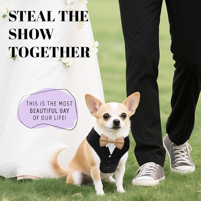AVERYDAY XS Pet Tuxedo Harness, Wedding Costume Outfit for Small Dogs, Slim Cats and Tiny Pets with 9.1" Neck, 14.2-18.9" Chest, 9" Max Head Girth, Formal Suit Costume for Mini Breeds