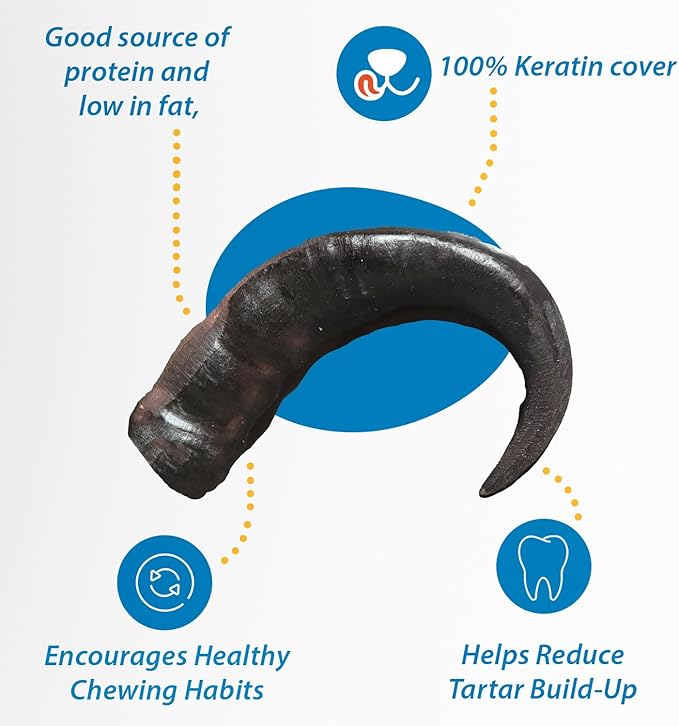123 Treats Buffalo Horns for Dogs – (2 Count), Large 9-11 inches, Long Lasting Dog Treats for Aggressive Chewers, 100% Natural, Rich in Protein & Low in Fat, Support Dental Health