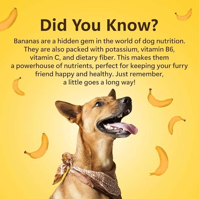 100% Natural Freeze-Dried Banana Treats for Dogs | Single Ingredient | Vegan Treats | Grain & Gluten Free | Low Calorie Training Treats (1.94oz)