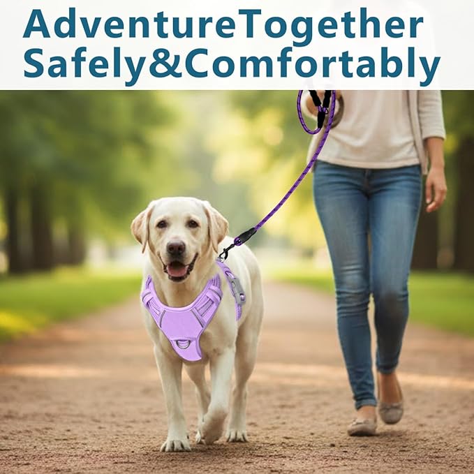 BARKBAY Dog Harness No Pull Oxford with ID Tag Pocket - Heavy Duty, Reflective, Easy Control for Large Dogs(Violet Purple Oxford,L)