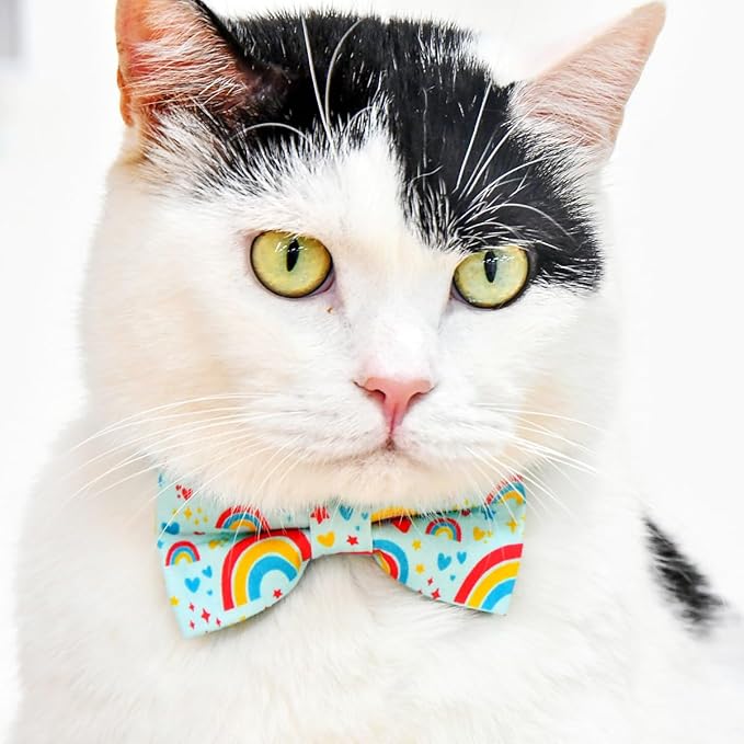 RainbowCat Collar Bow Set, Wedding/Birthday Breakaway Collar Bowtie for Kitten/Cat