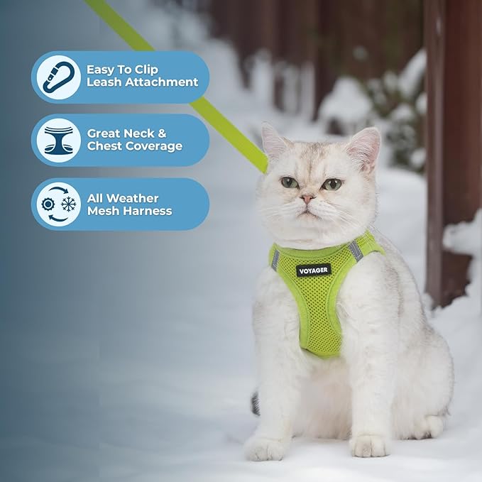 Voyager Step-in Pet Harness - All Weather Mesh, Adjustable Step in Harness for Cats and Dogs by Best Pet Supplies - 307S Lime Green, XXXS