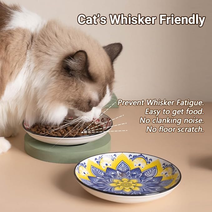 Non-Slip Cat Bowls, Ceramic Wide Pet Food Bowl Set for Relief Whisker Fatigue, 6 Pack Colorful Kitten Feeding Dishes Plates with Anti-Slip Silicone Base-Microwave and Dishwasher Safe, 8.5 oz