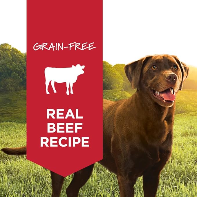 Instinct Original Wet Dog Food, Grain Free Recipe - Real Beef, 13.2 Ounce (Pack of 6)