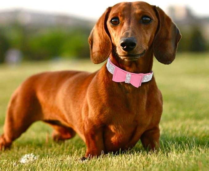 Cute Dazzling Sparkling Elegant Fancy Soft Suede Leather Bling Rhinestone Crystal Jeweled Pet Cat Dog Puppy Collar Dog Leash Combo Set (S, Pink-1)