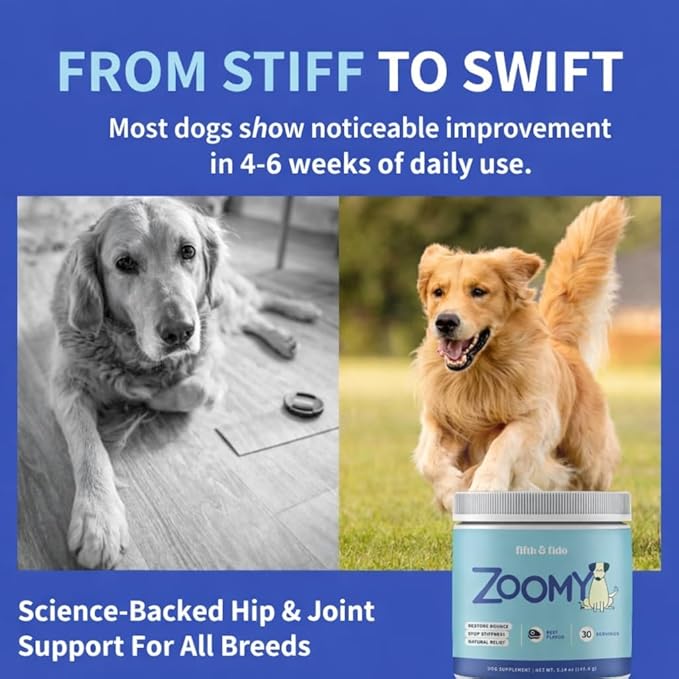 Fifth & Fido Joint Supplement for Dogs - Glucosamine for Dogs - Pet Vitamins and Supplements Powder with Chondroitin & MSM - Hip & Joint Support for Mobility, Stiffness & Flexibility - Mushroom Blend