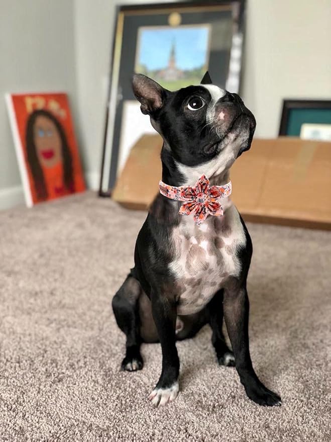 Unique style paws Cotton Dog Collar with Bow Puppy Collar with Black Red Plaid for Small Medium Large Boys Girls Dogs