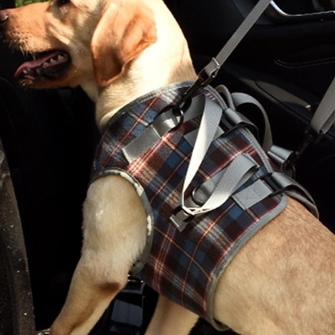 Dog Lift Harness, Adjustable Rear Leg Support Sling with Breathable Polyester, Mobility Aid for Disabled and Senior Dogs (L (20‑30kg / 44.1‑66.1lb Recommended))