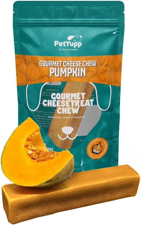 1 Large Pumpkin Yak Cheese Himalayan Dog Chews - Rich Protein & Low Fat Pumpkin Yak Chews for Dogs - Gluten-Free & Lactose-Free Treats for Small, Medium & Large Dogs