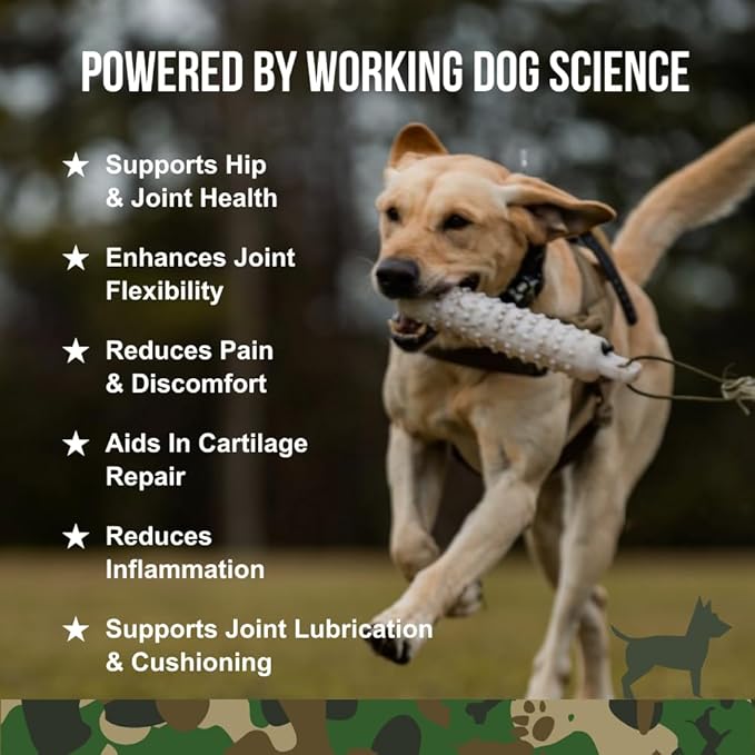 Operation Good Boy Hip & Joint Supplement for Dogs, Glucosamine, Chondroitin & MSM Chews – 90 Soft Treats, Natural Ingredients, Veteran Owned, Beef Flavored