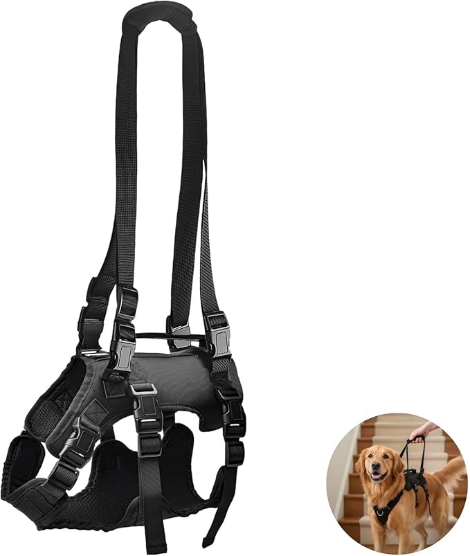 Mobility Aid for Dogs, XL Dog Lift Harness, Adjustable Full Body Dog Support Sling, Recovery Vest, Multifunctional Pet Harness for Large and Senior Or Handicapped Dogs