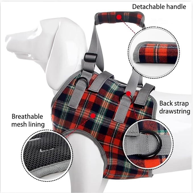 Dog Lift Harness with Handle – Adjustable Pet Support Sling for Rear Legs & HIPS, Padded Detachable Handle, Senior Dog Mobility Aid & Post-Surgery Walking Help(Front Legs Blue,S)