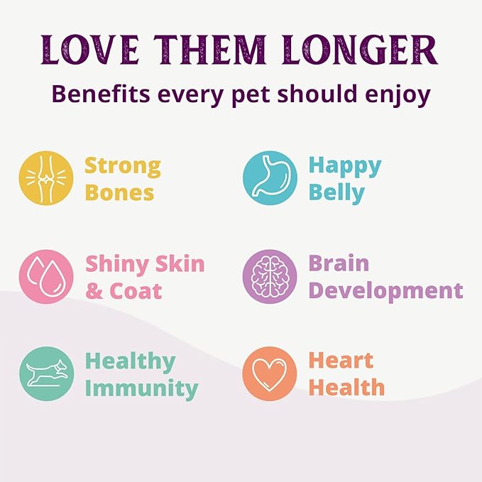 Health Extension 95% Beef Grain-Free Wet Dog Food, High Protein Recipe, Limited Ingredients, Picky Eaters, Ideal for Sensitive Stomachs 12.5 oz (Case of 12)