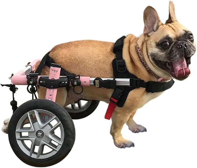 Walkin' Wheels Small Dog Wheelchair, Lightweight Dog Wheelchair for Back Legs, 15-25 lbs, for 12-15 inches Leg Height - Pink