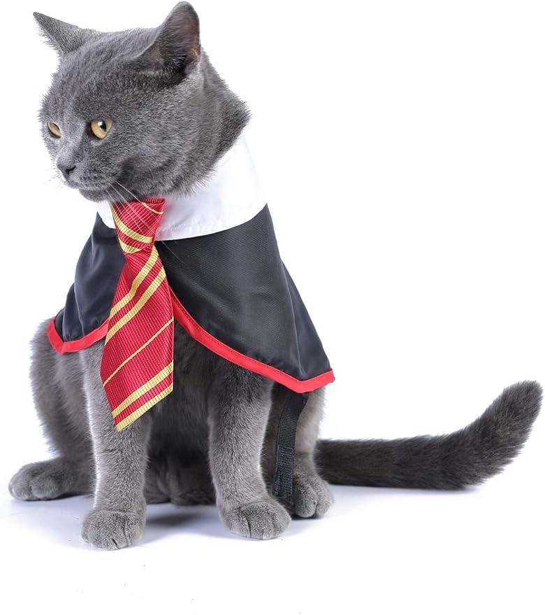 Halloween Cat Costume Small Dog Wizard Pet Clothes Cute Apparel Puppy Shirts with Glasses (Medium)