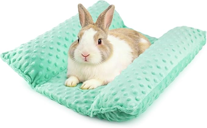 Rabbit Bed, Soft Dot Fleece Bunny Mat, 17x17In Small Animal Pillow for Guinea Pig, Reversible, Washable Pet Cushion Mint Green