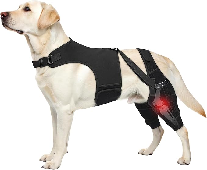 Dog Knee Brace for Torn ACL Hind Legs with Vest, Adjustable Dog Leg Brace with 4 Stabilizers, Hip Support to Reduce Pain, CCL Tear Recovery & Arthritis Ligament Injuries & Luxating Patella (X-Large)
