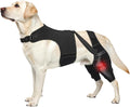 Dog Knee Brace for Torn ACL Hind Legs with Vest, Adjustable Dog Leg Brace with 4 Stabilizers, Hip Support to Reduce Pain, CCL Tear Recovery & Arthritis Ligament Injuries & Luxating Patella (X-Large)
